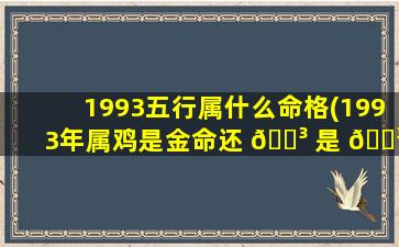 1993五行属什么命格(1993年属鸡是金命还 🌳 是 🌳 水命)